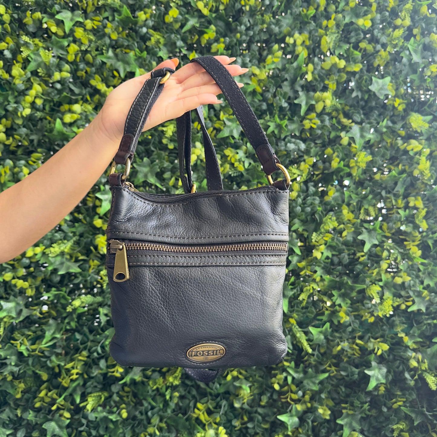 Cartera Fossil