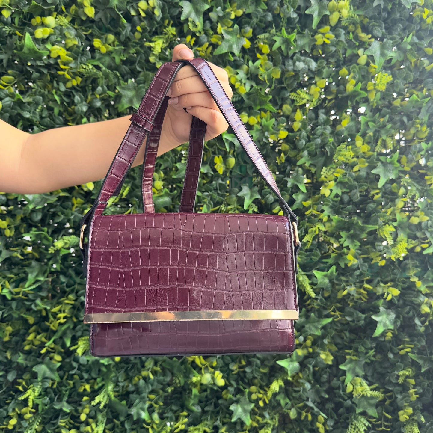 Cartera Kelly&Katie