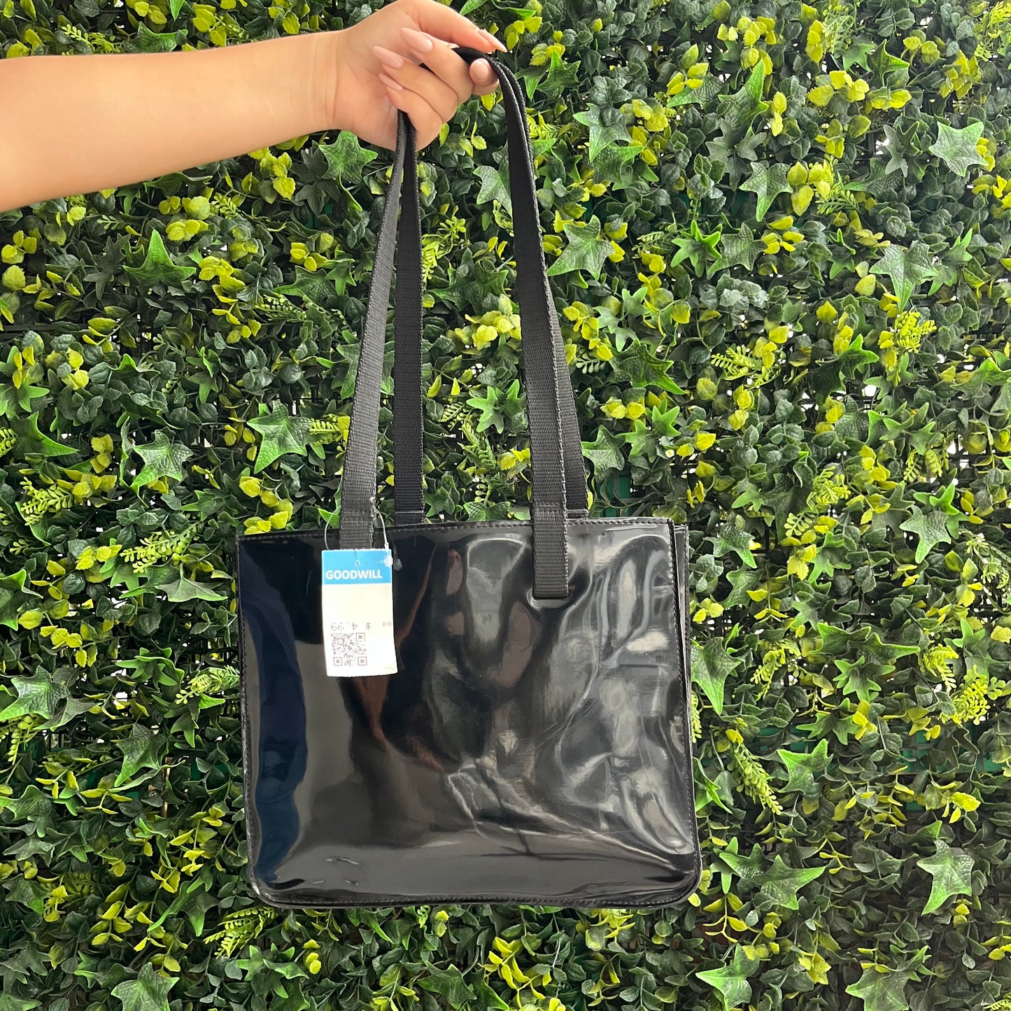 Cartera NY & CO