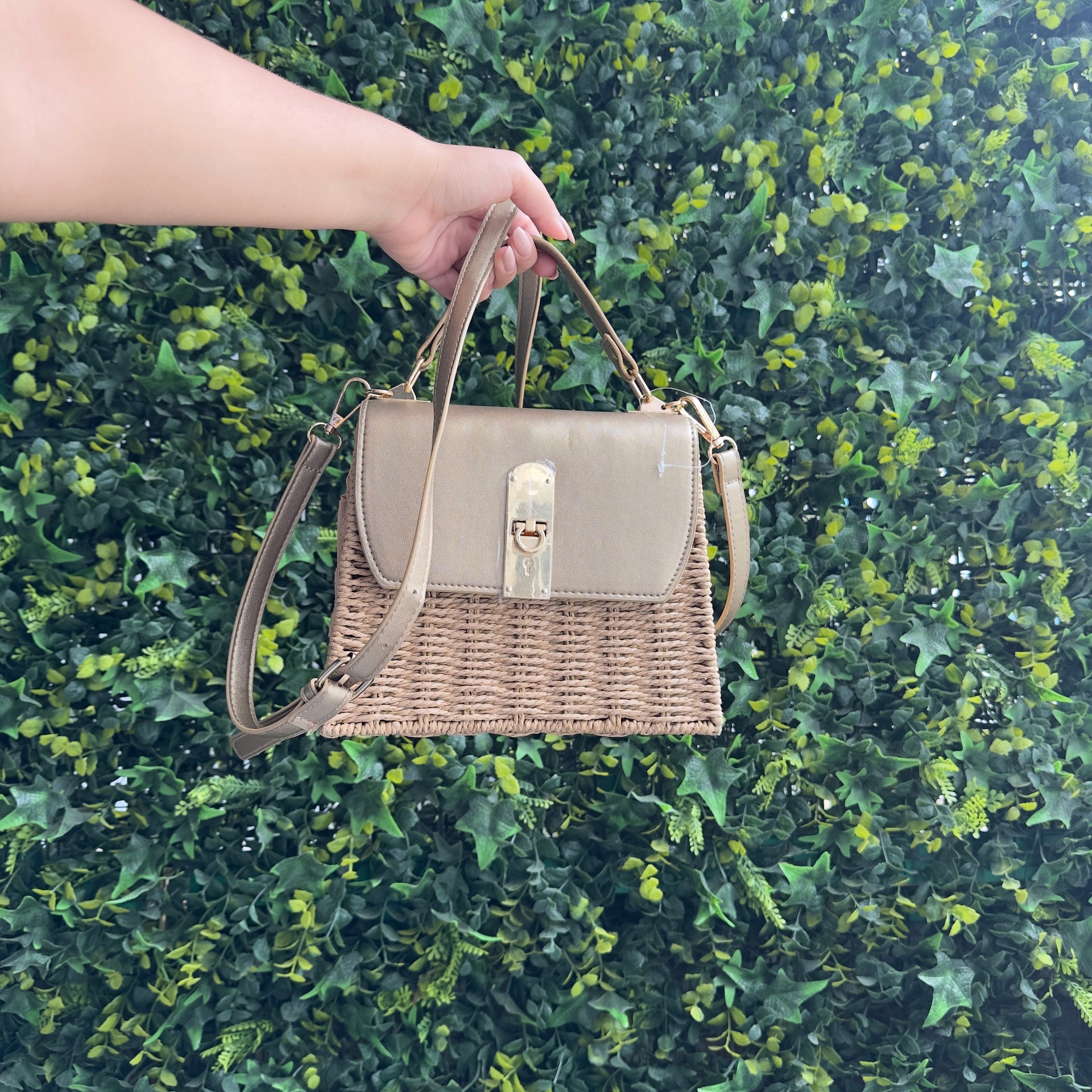 Cartera de Mujer Fusiones