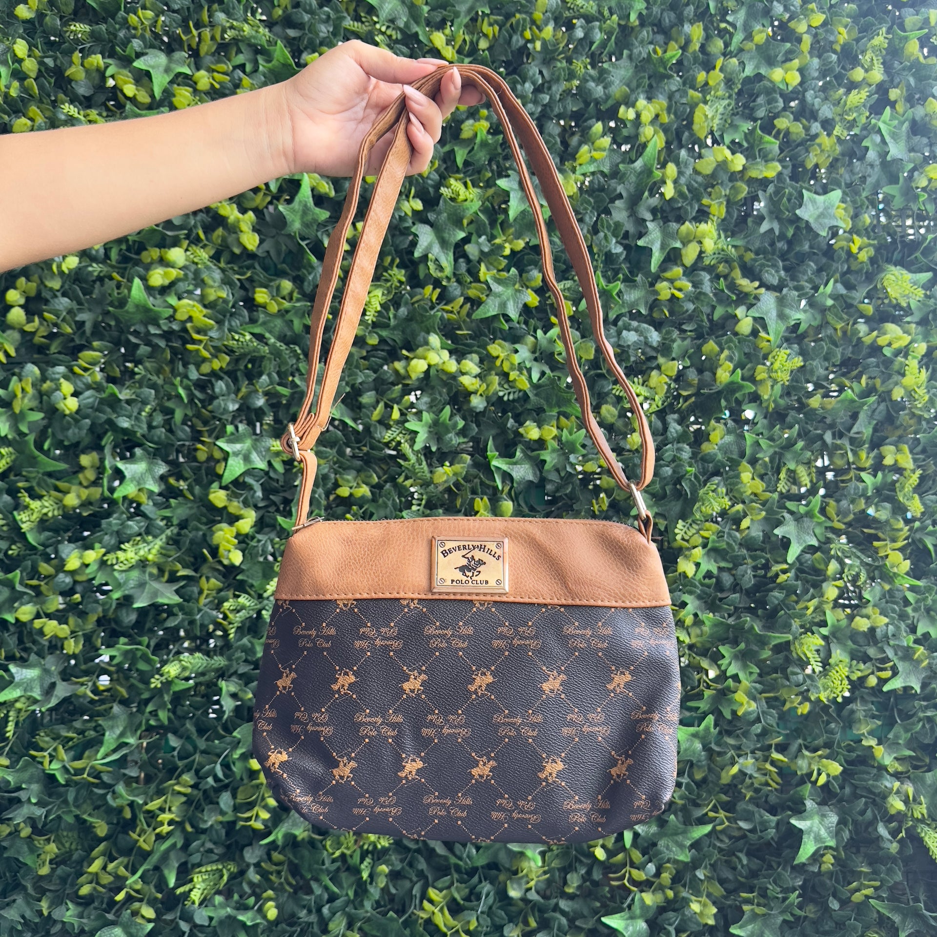 Cartera Berverly Hills