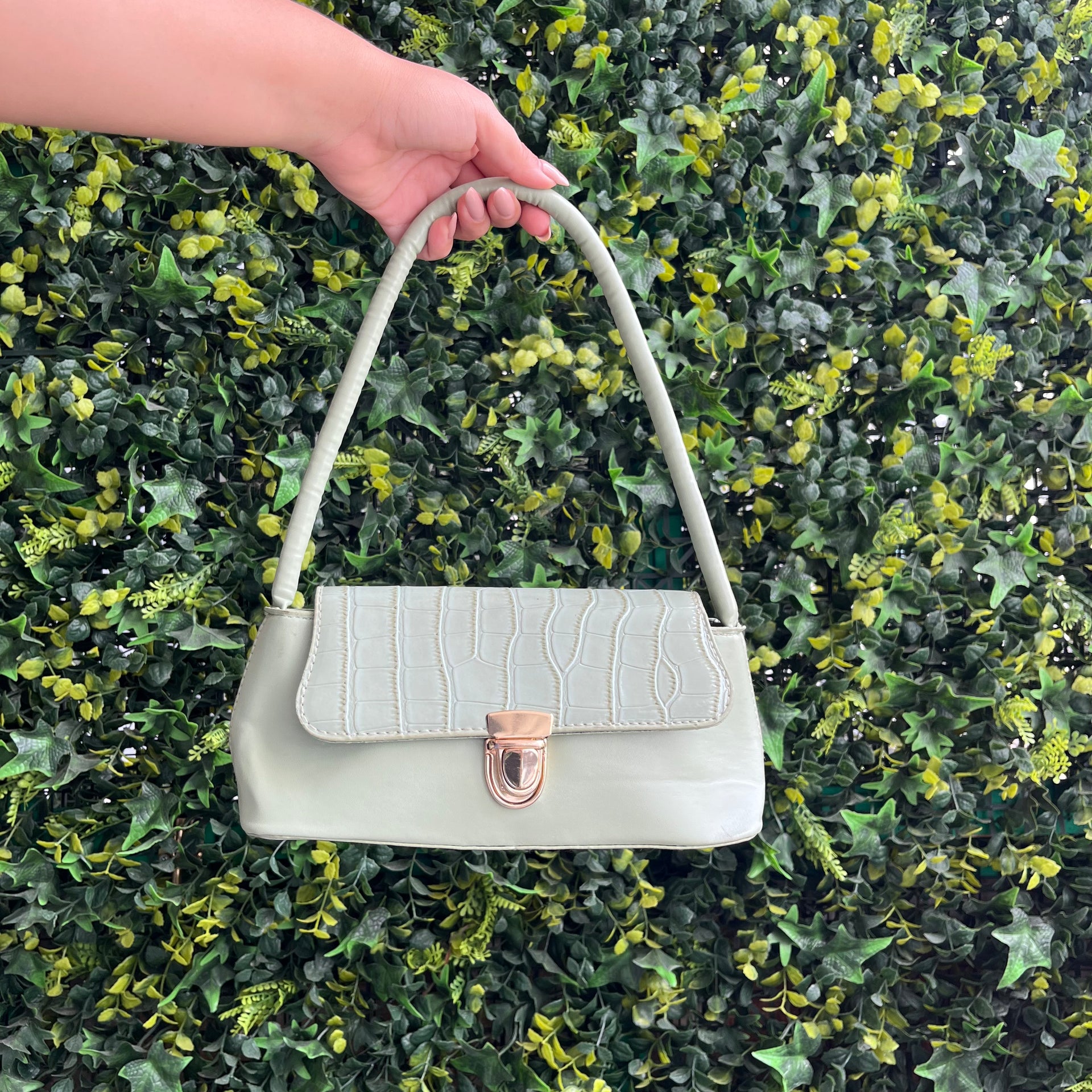 Cartera Chica
